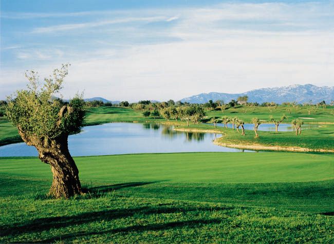 Panor&aacute;mica Golf course